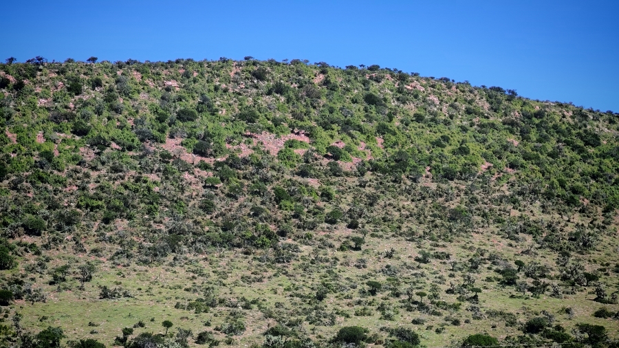 0 Bedroom Property for Sale in Somerset East Rural Eastern Cape